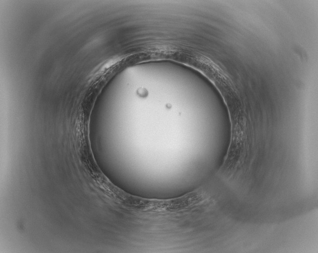 X0000116570773200912101509