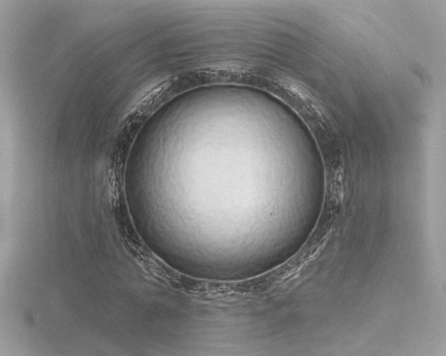 X0000116570774200912101509