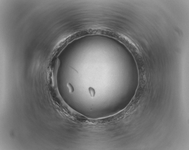 X0000116570775200912101509