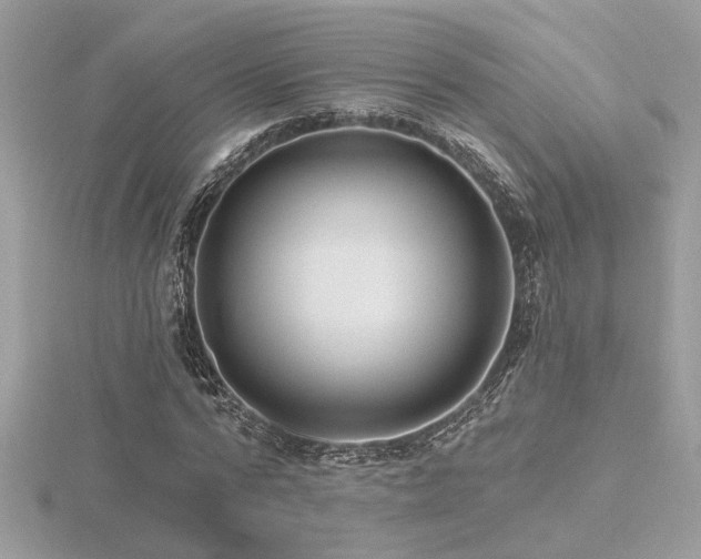 X0000116570776200912101509