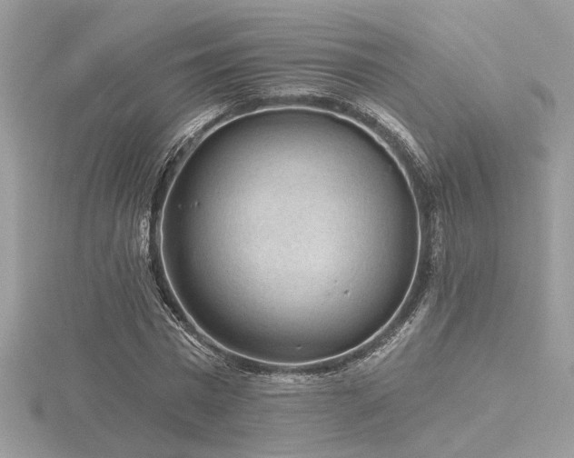 X0000116570777200912101509