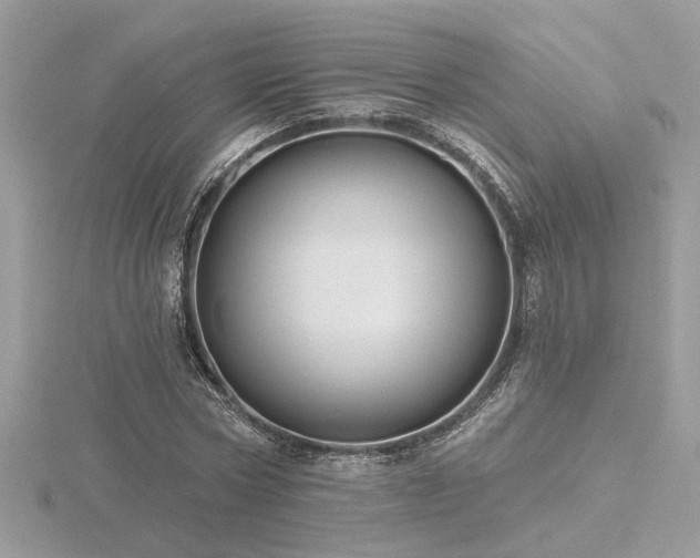 X0000116570778200912101509