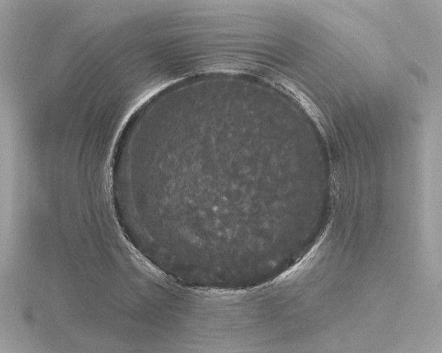 X0000116570779200912101509