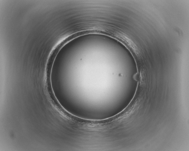 X0000116570780200912101509