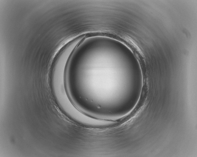 X0000116570781200912101509