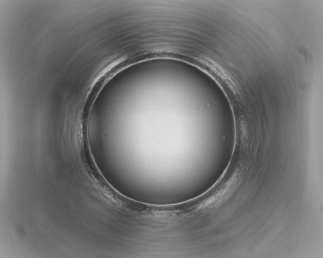 X0000116570782200912101509