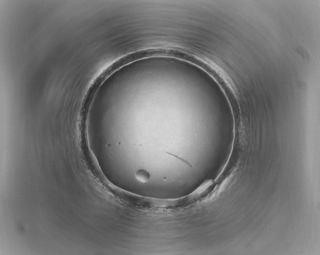 X0000116570783200912101509