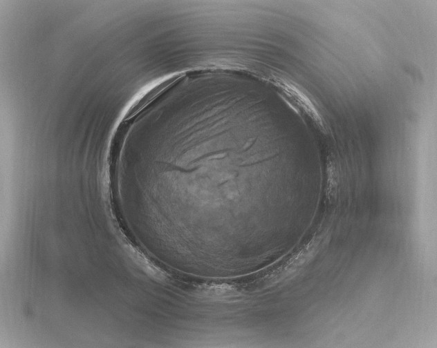 X0000116570784200912101509