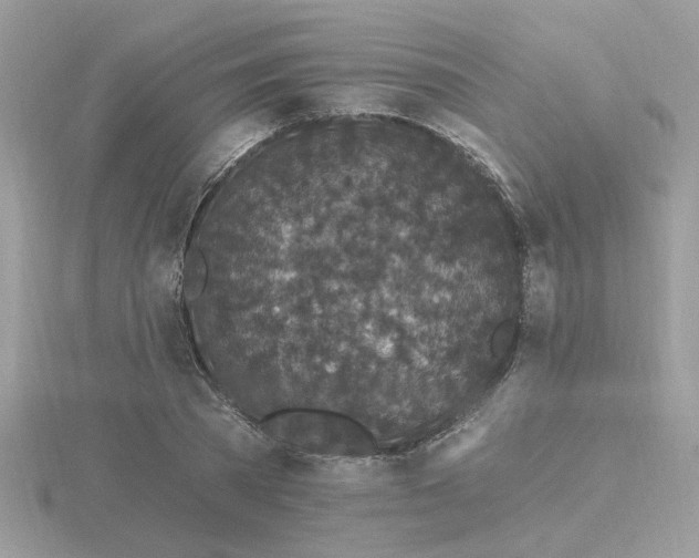 X0000116570785200912101509