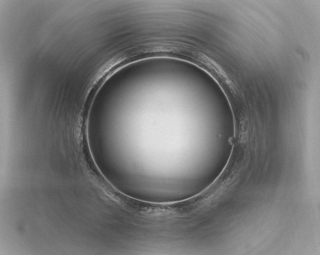 X0000116570786200912101509