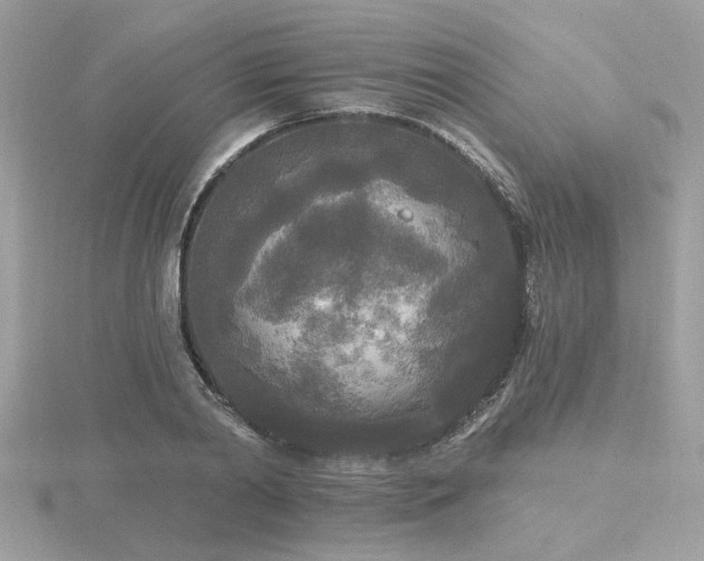 X0000116570790200912101509