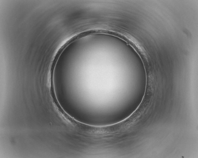 X0000116570791200912101509