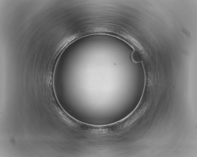 X0000116570793200912101509