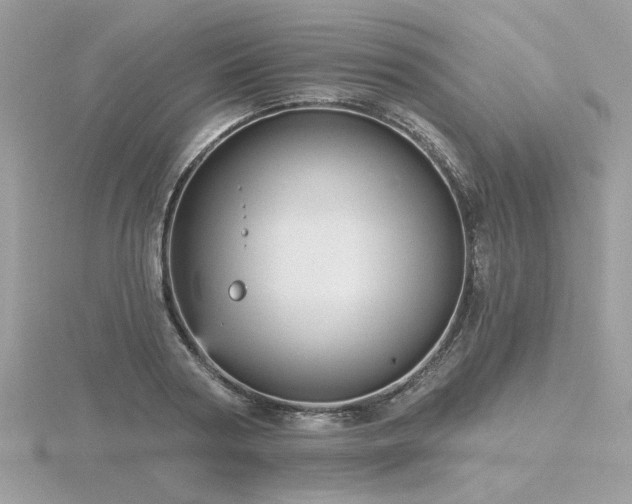 X0000116570794200912101509