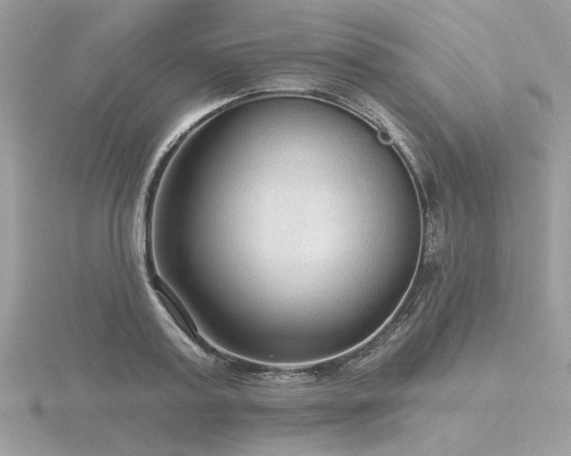 X0000116570795200912101509