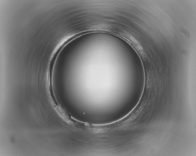 X0000116570796200912101509