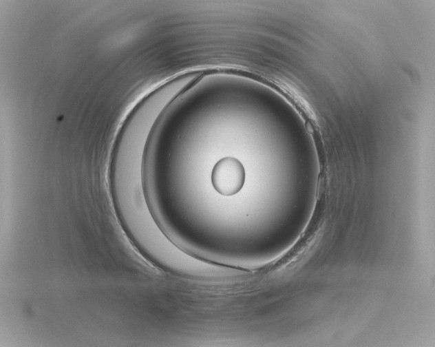 X0000116570797200912101509