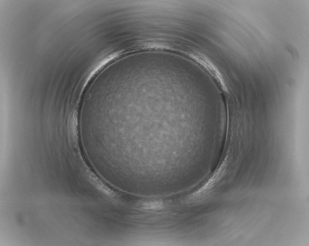 X0000116570798200912101509