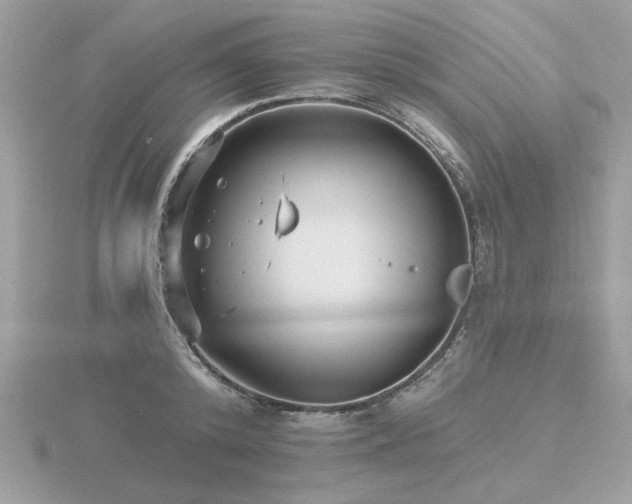 X0000116570800200912101509