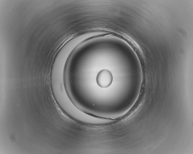 X0000116570801200912101509