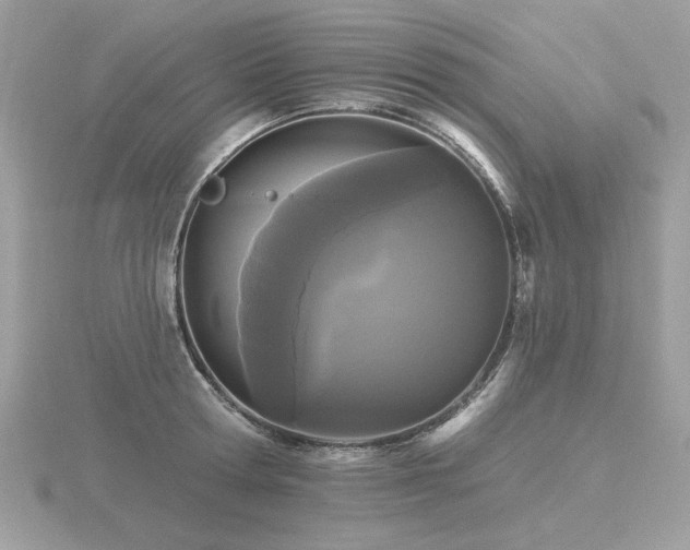 X0000116570802200912101509