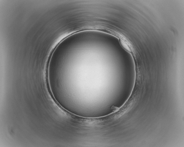 X0000116570803200912101509