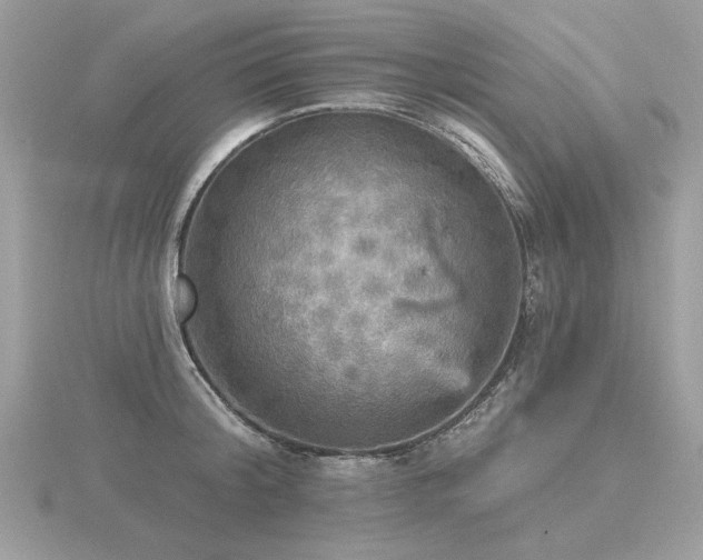 X0000116570804200912101509