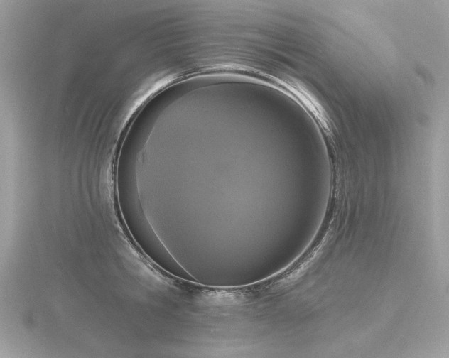 X0000116570806200912101509