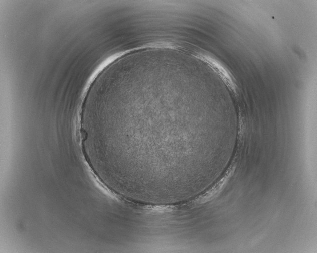 X0000116570808200912101509