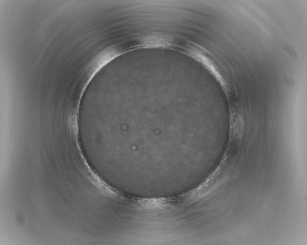 X0000116570810200912101509