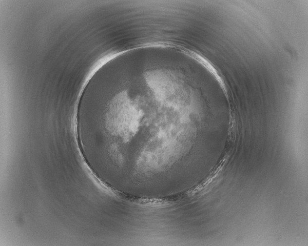 X0000116570811200912101509