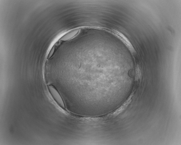 X0000116570812200912101509