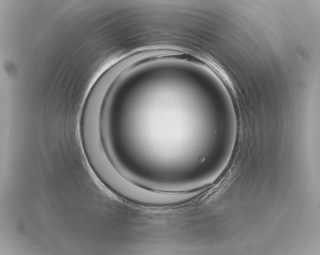 X0000116570813200912101509