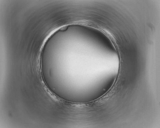 X0000116570816200912101509