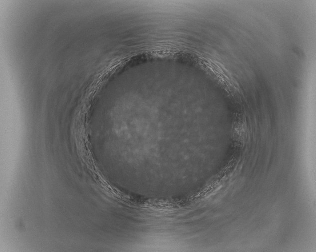 X0000116570817200912101508