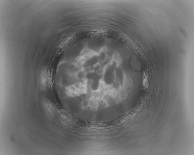 X0000116570819200912101508