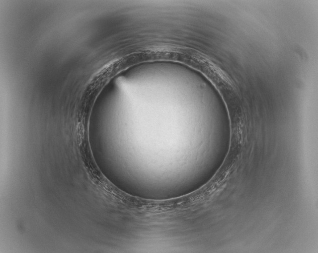 X0000116570821200912101508