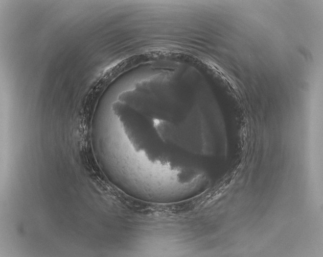 X0000116570822200912101508