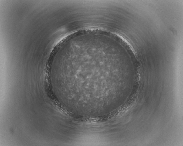 X0000116570823200912101508