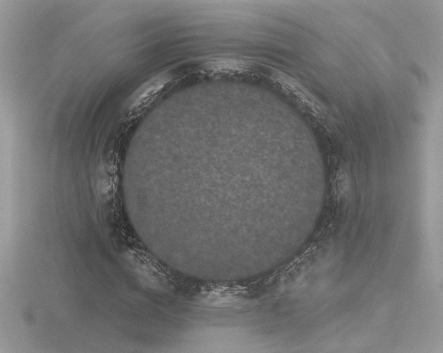 X0000116570824200912101508