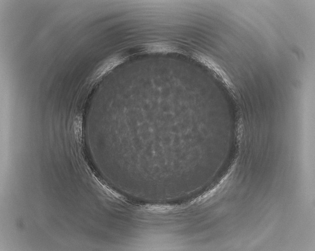 X0000116570825200912101508