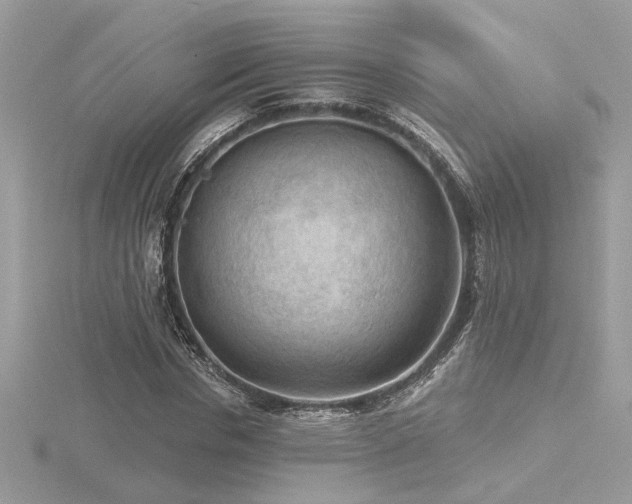 X0000116570826200912101508