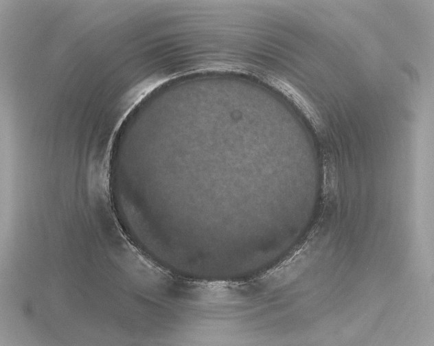 X0000116570828200912101508