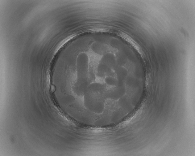 X0000116570829200912101508