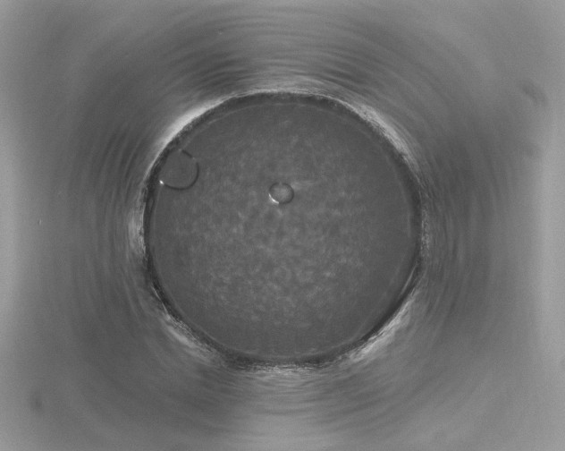 X0000116570830200912101508