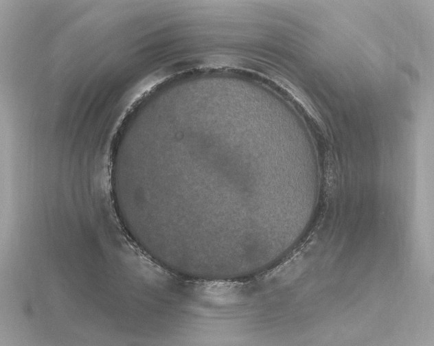 X0000116570832200912101509