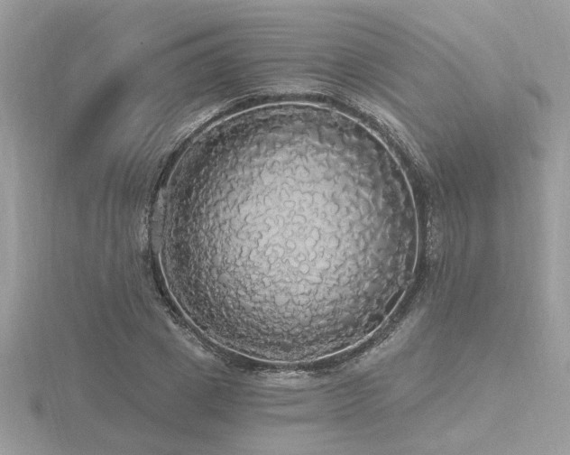 X0000116570833200912101509