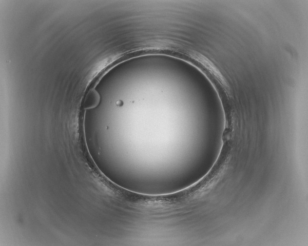 X0000116570834200912101509