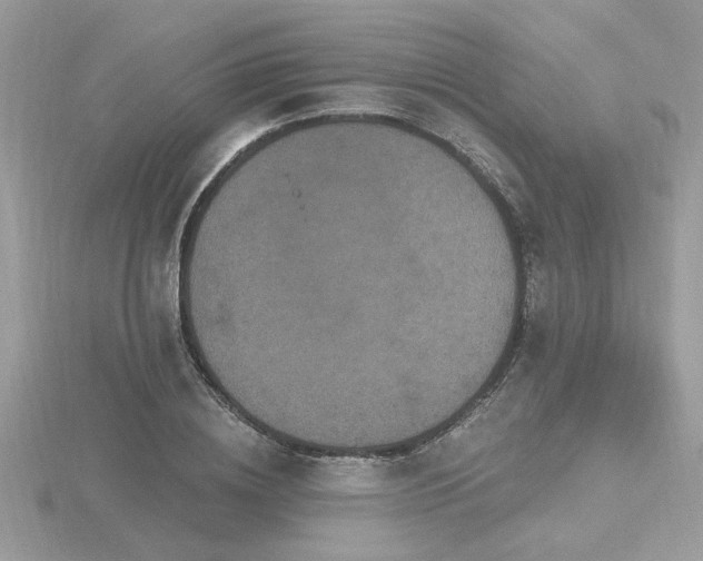 X0000116570836200912101509