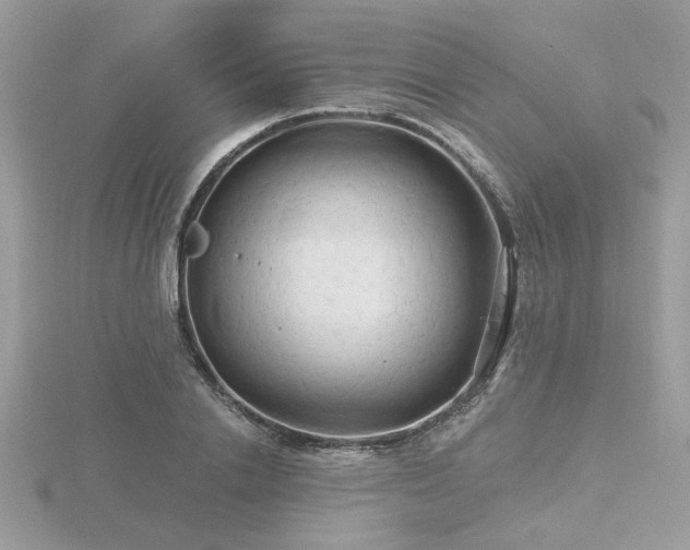 X0000116570838200912101509